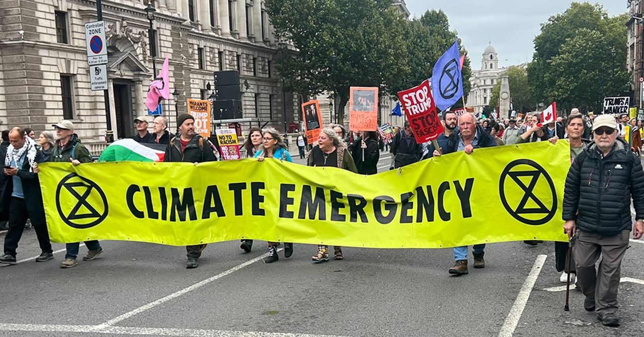 Anti -Trump protesters do the “naive” target “AI AI AI